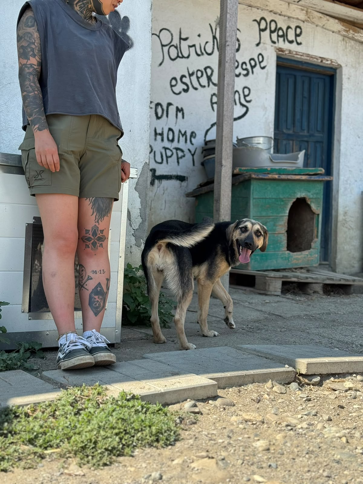 Suki