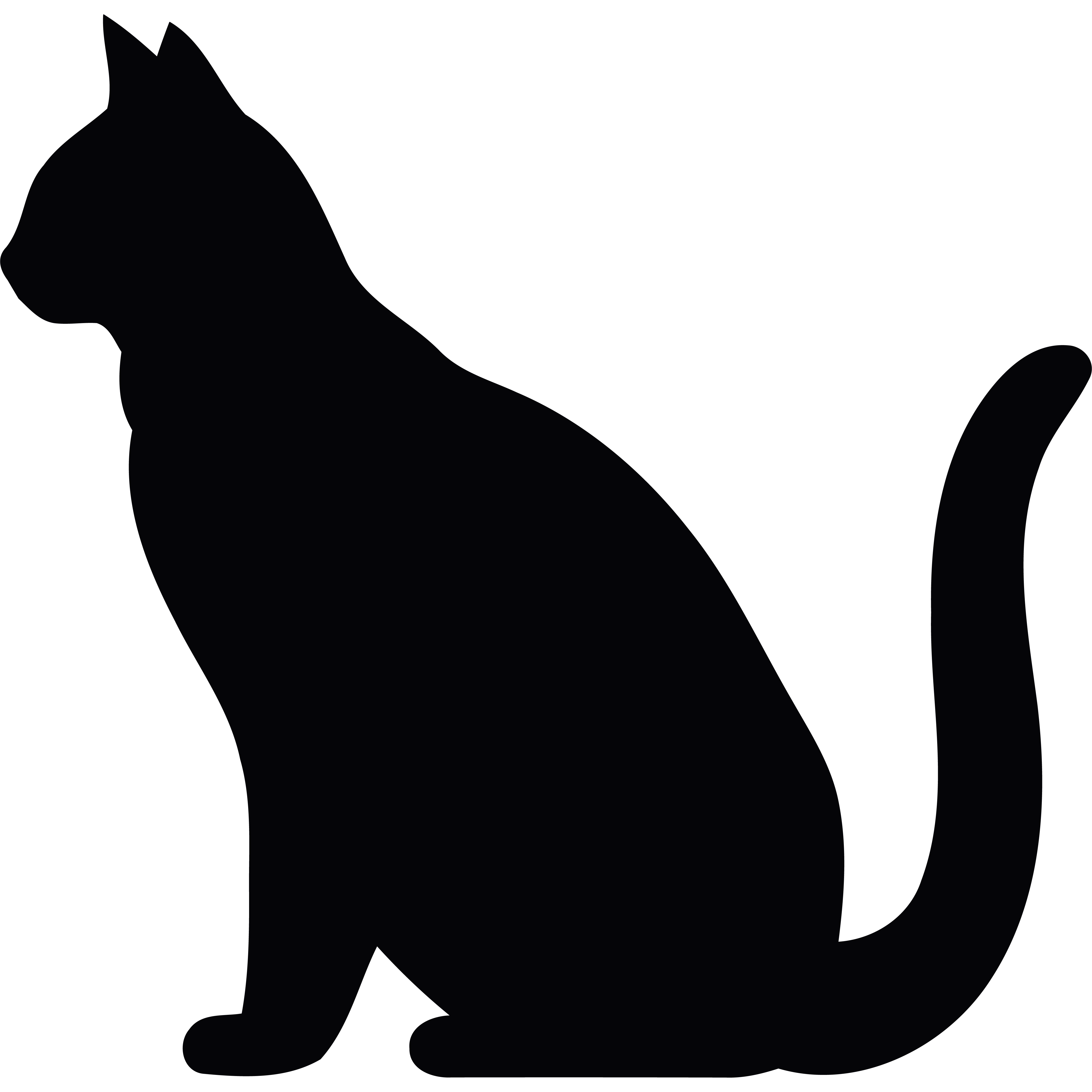 Katze