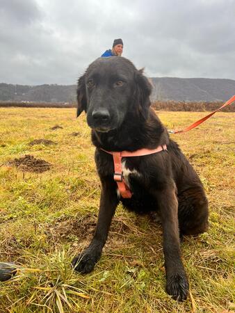 Tundra