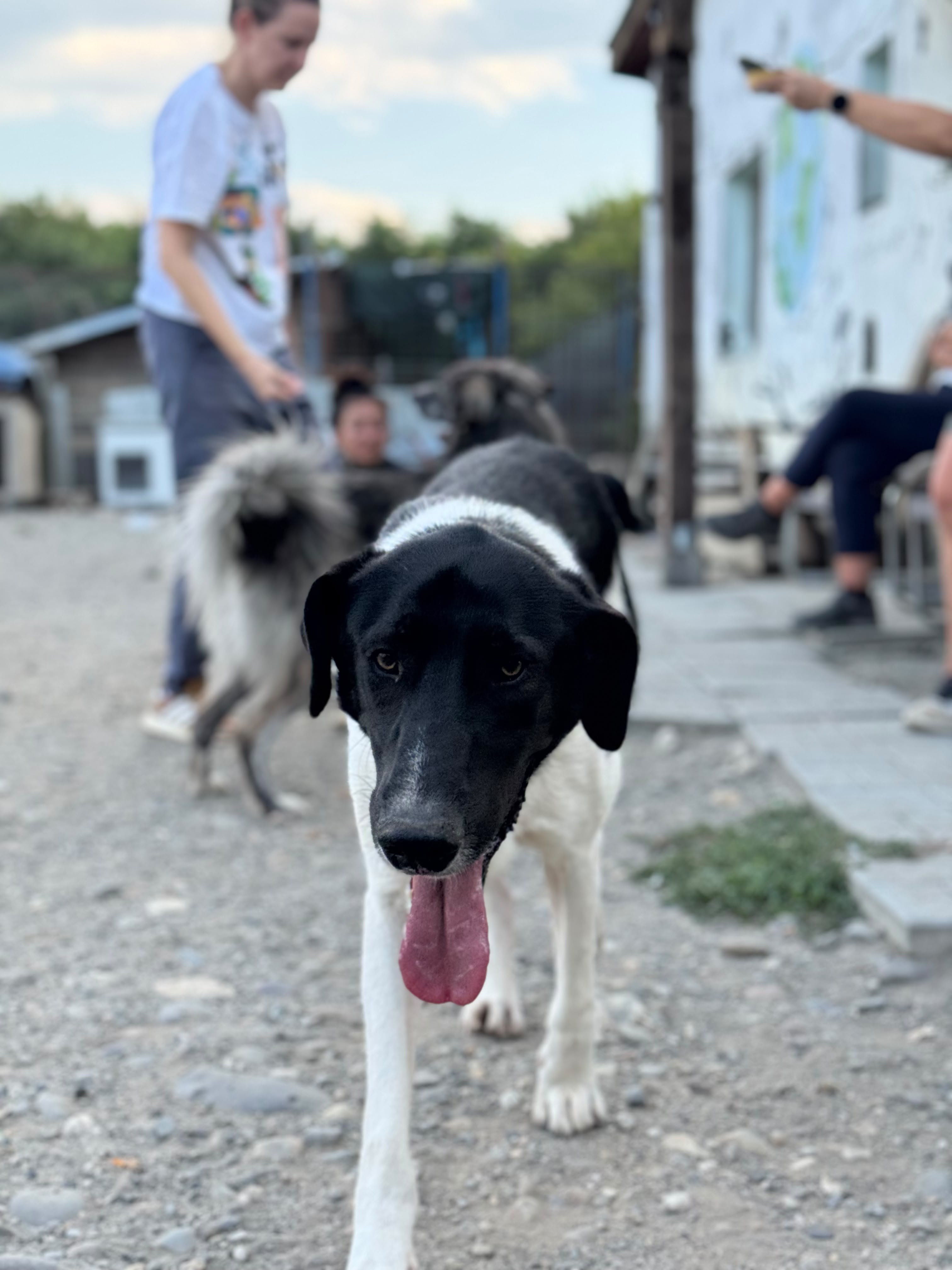 Simon Foto 3