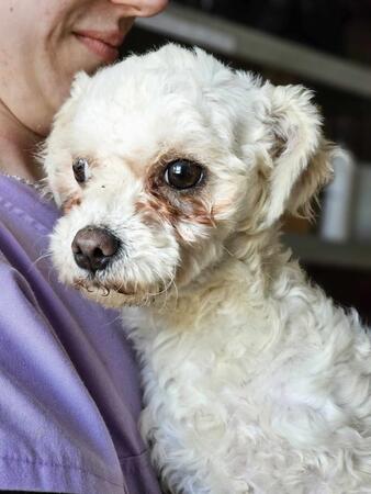 Cosmy