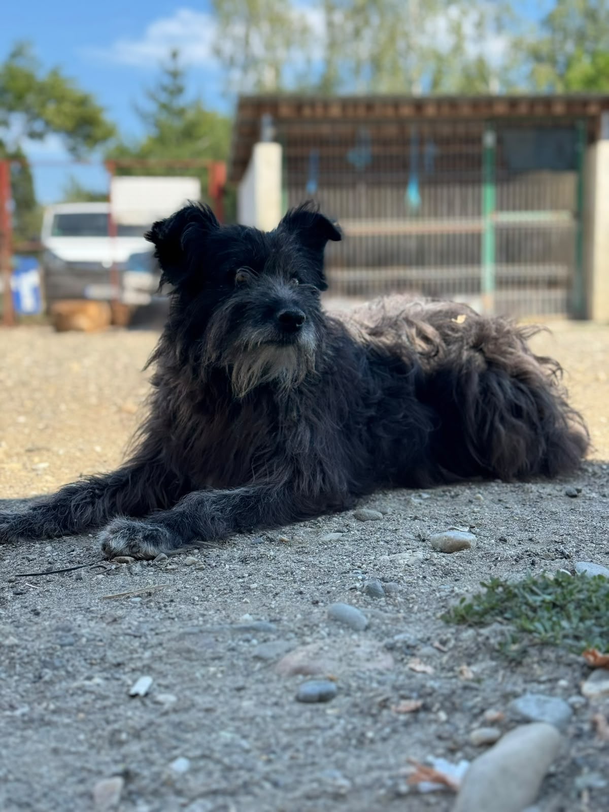 Emmi Foto 11