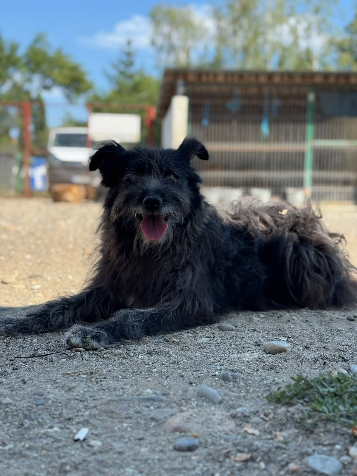 Emmi Foto 14