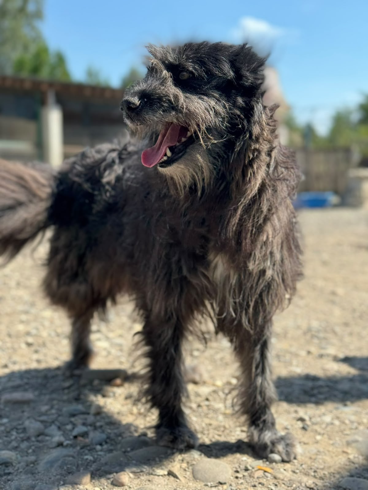 Emmi Foto 3