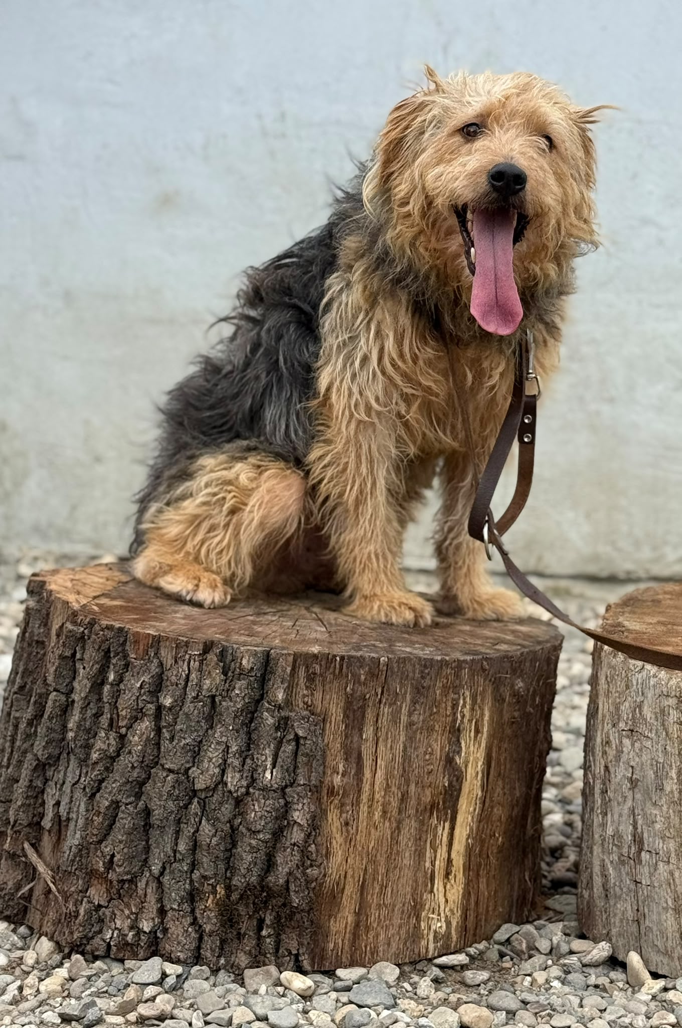 Pavel Foto 13