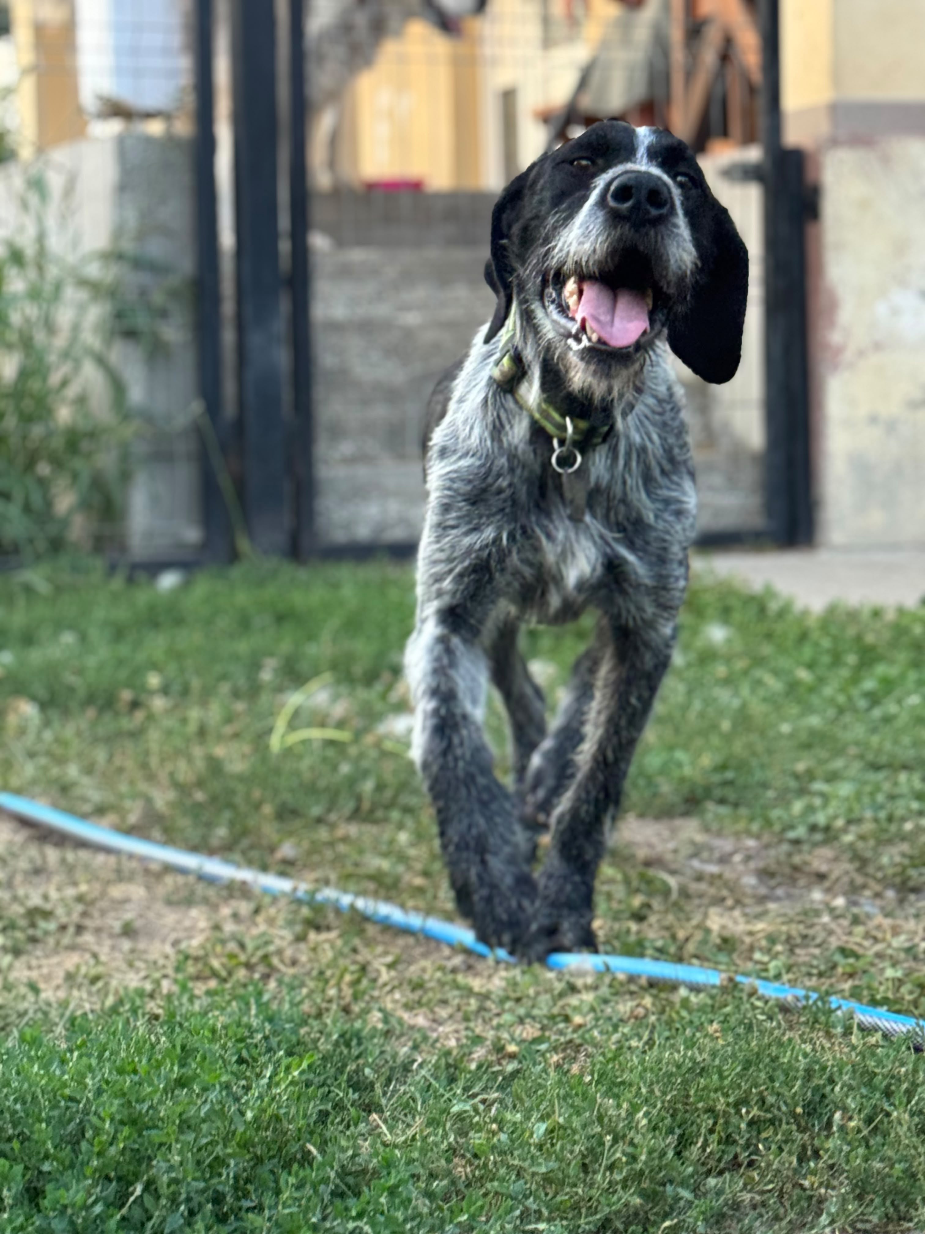Aska Foto 2