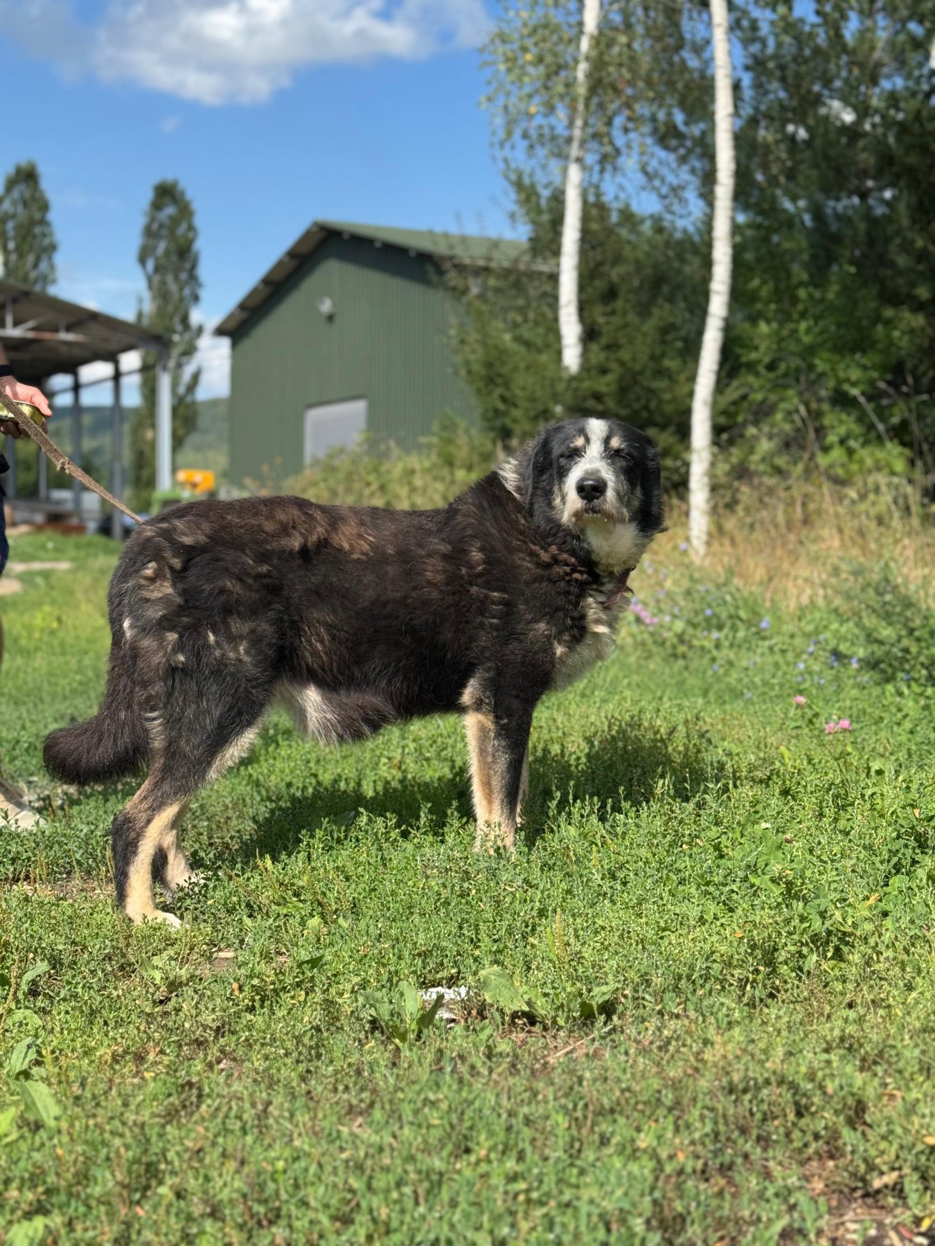 Alla Foto 9
