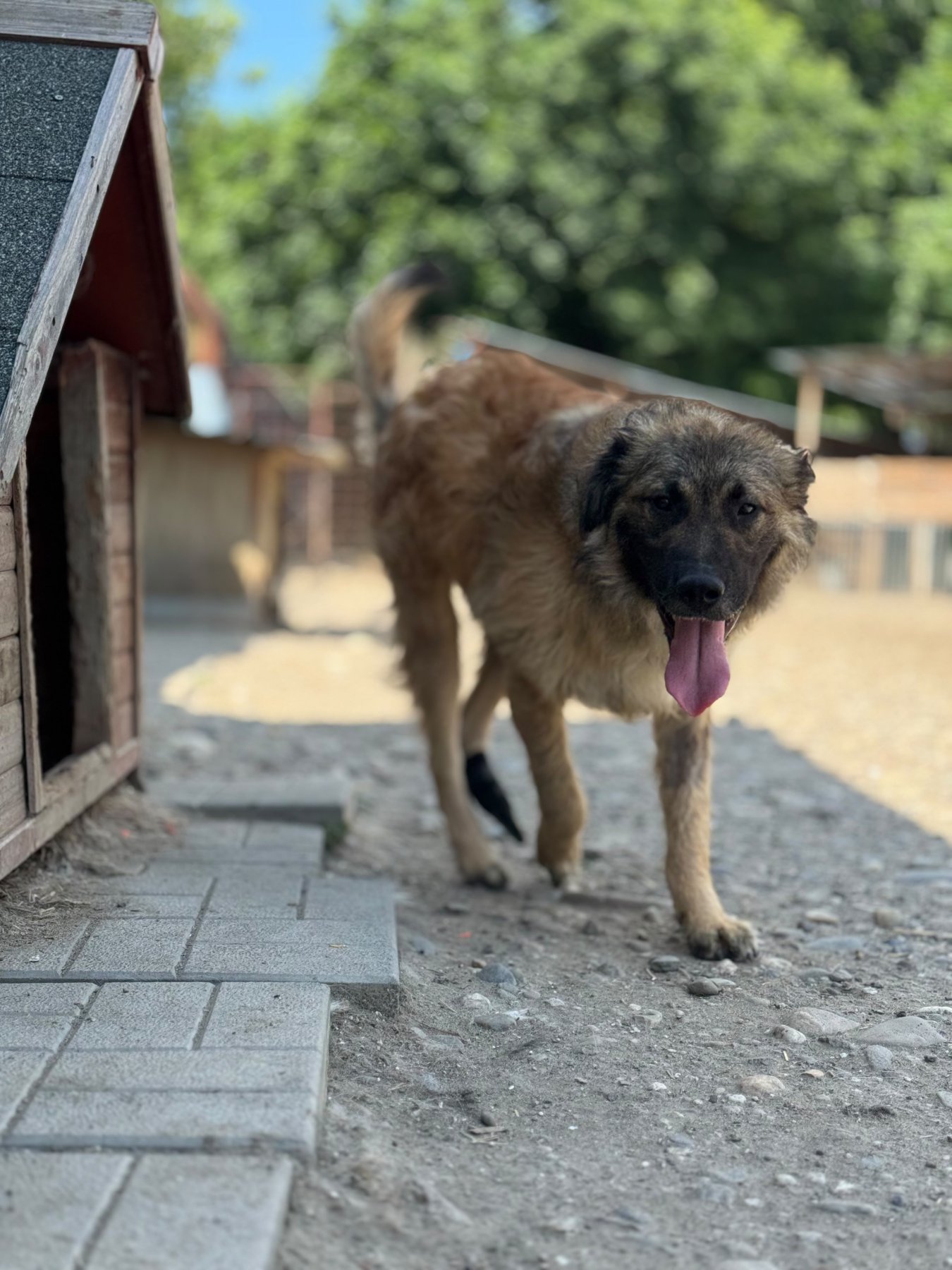 Mitru Foto 2