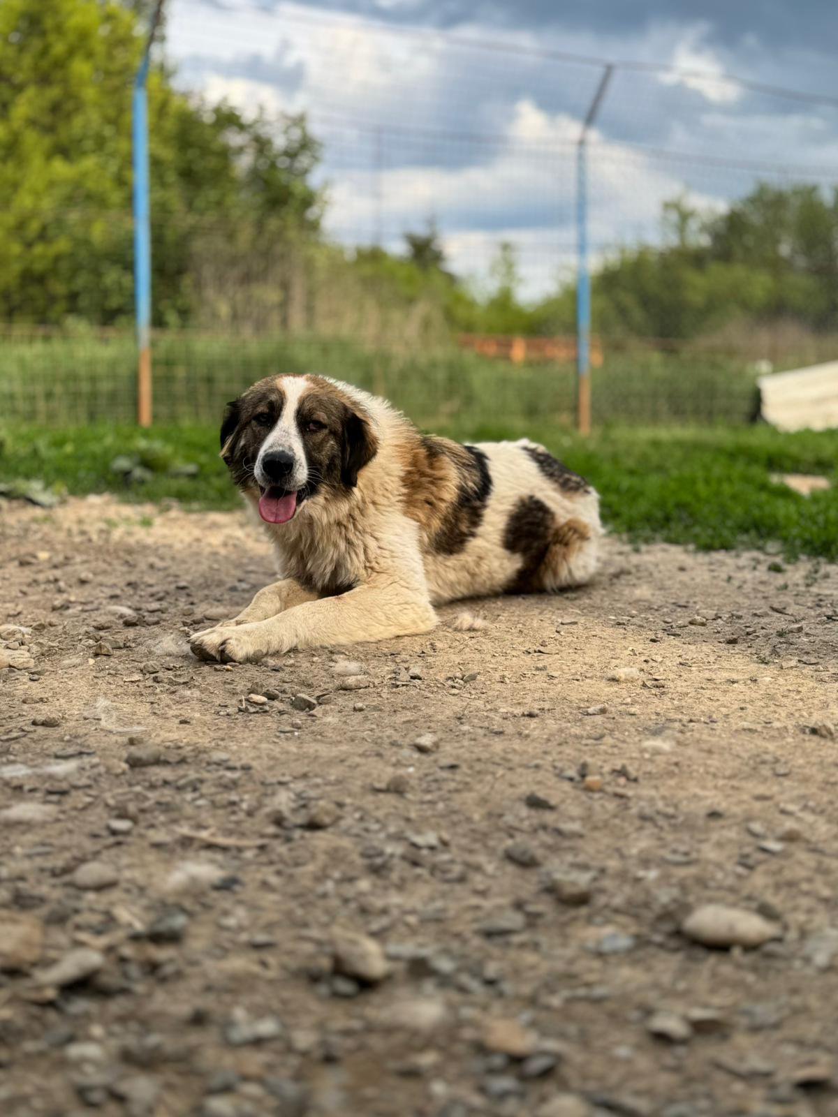 Alina Foto 3
