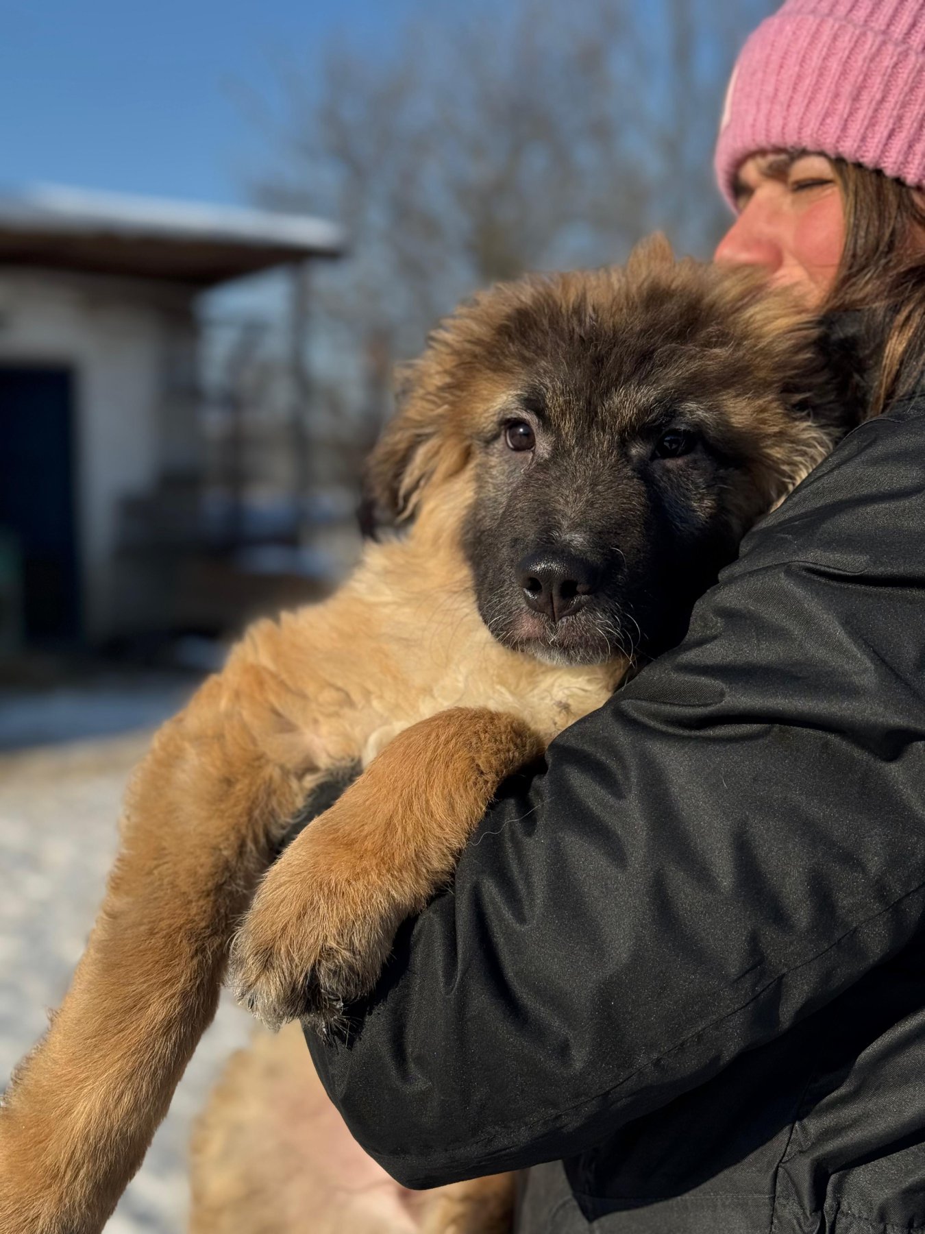 Mitru Foto 24