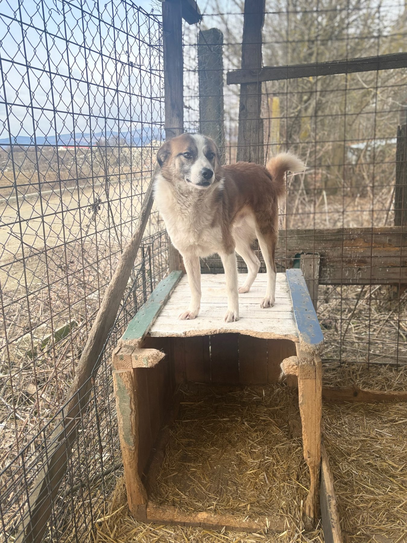 Bilbo Foto 14