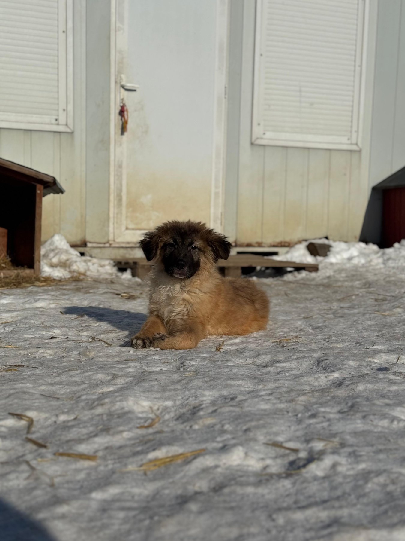 Mitru Foto 28