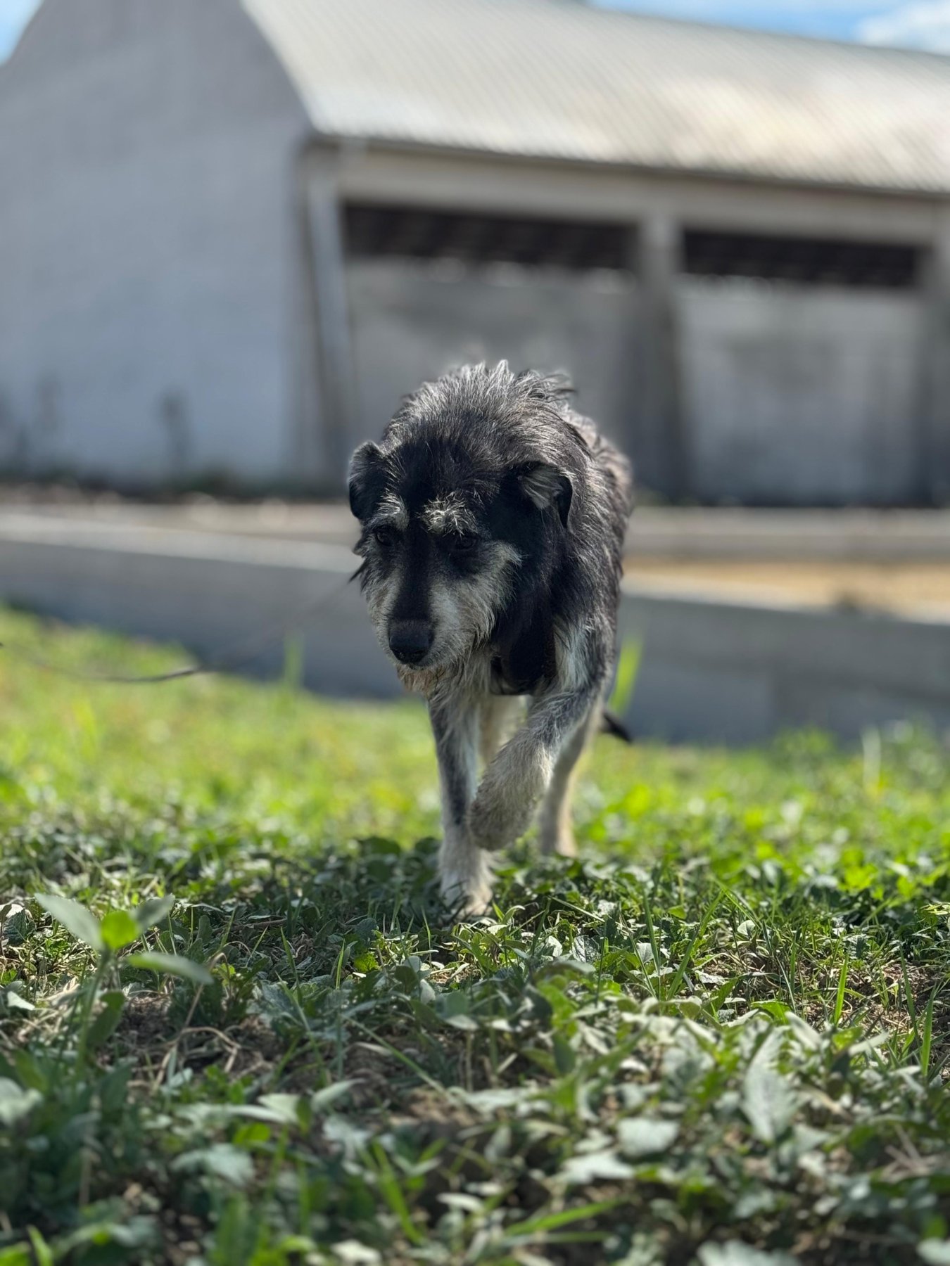 Kataleya Foto 4