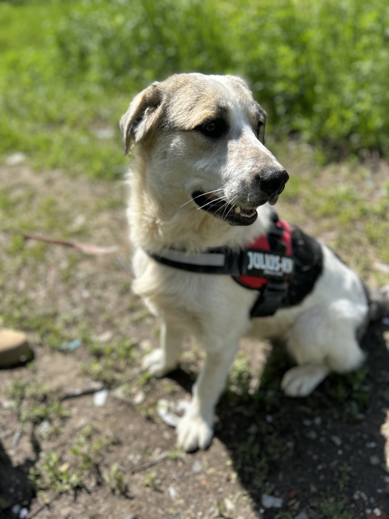 Finn Foto 10
