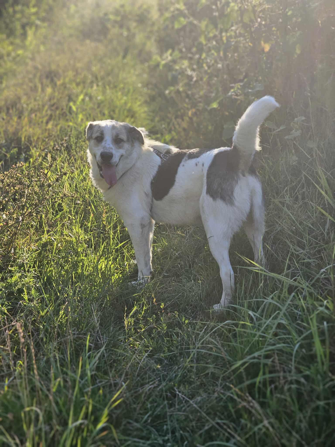Finn Foto 8