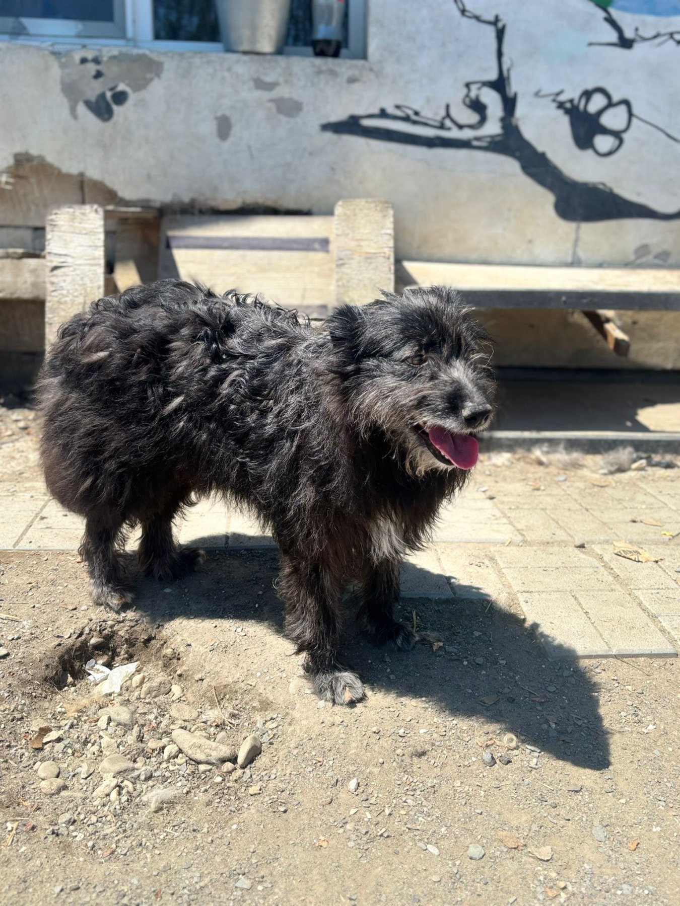 Emmi Foto 16