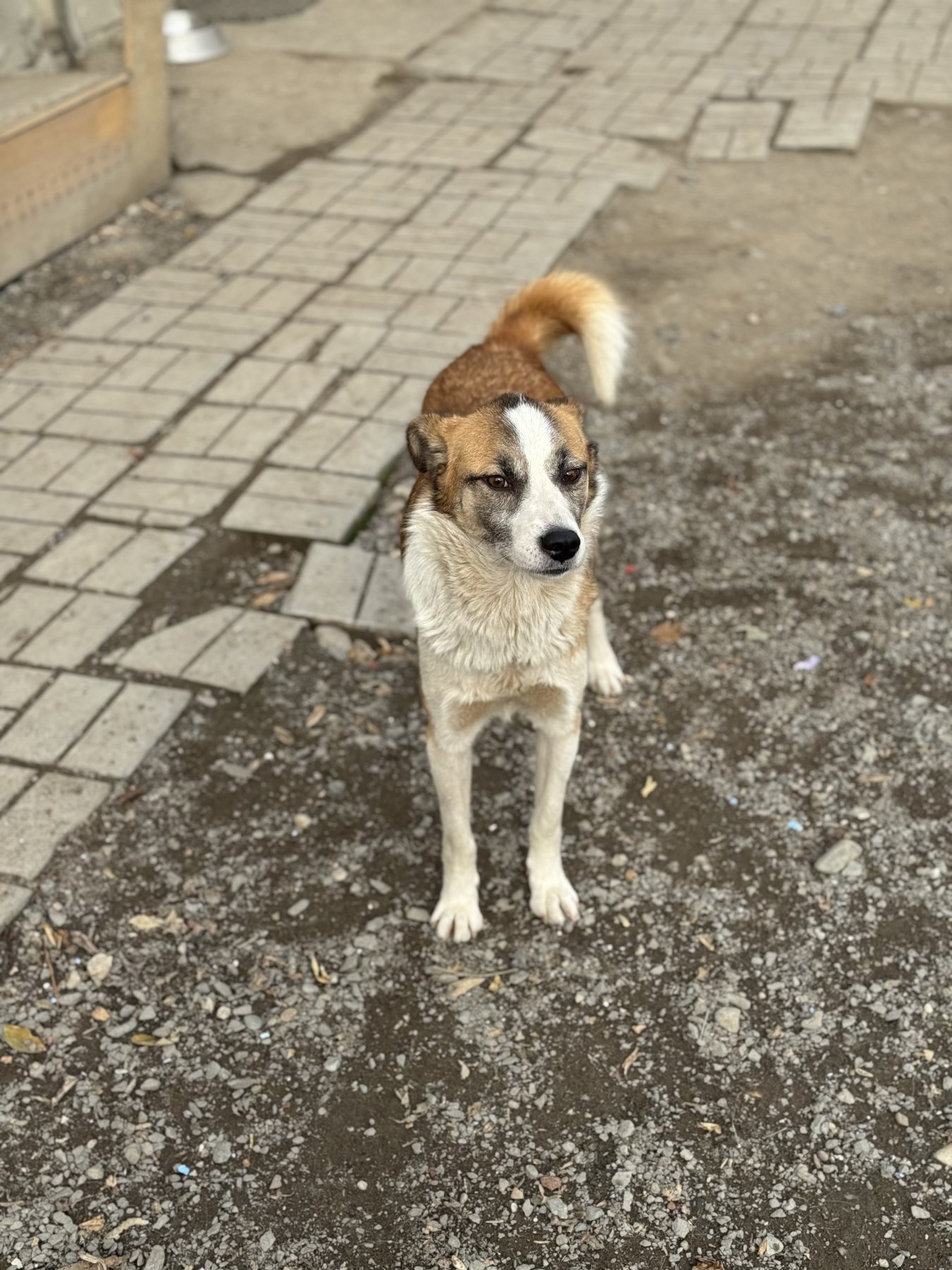 Bilbo Foto 3