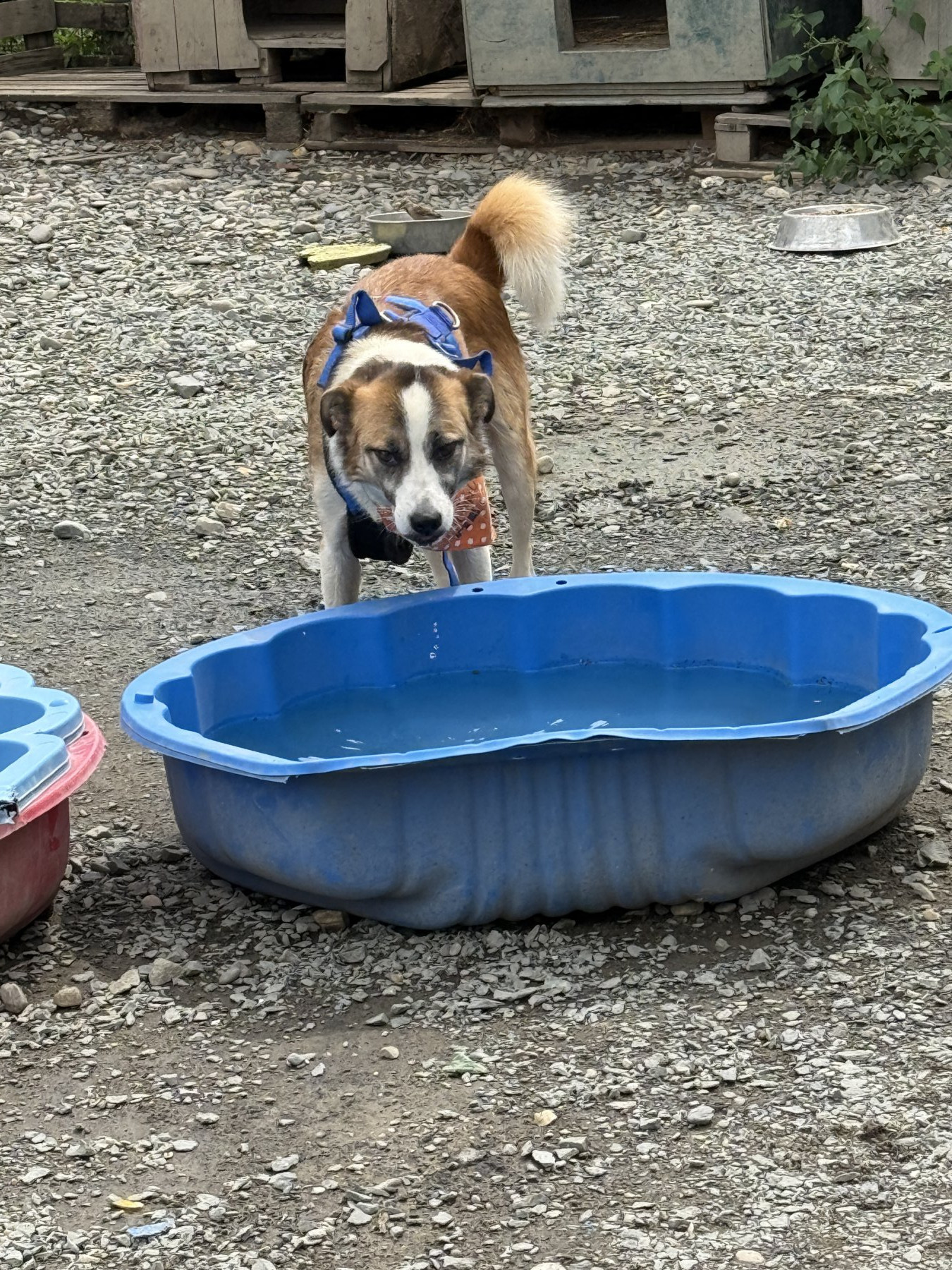 Bilbo Foto 11