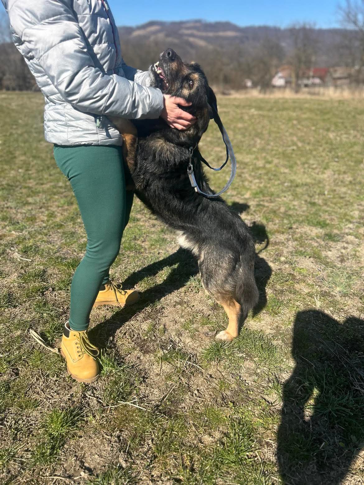 Foxi Foto 11