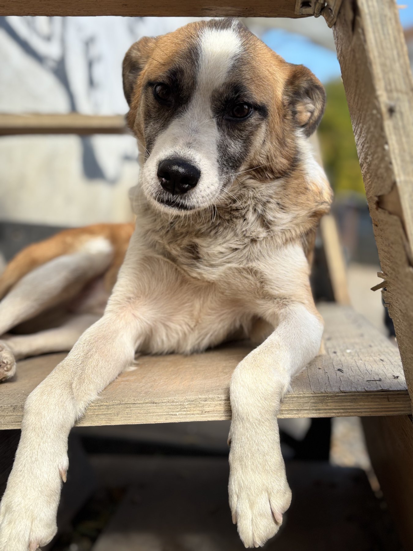 Bilbo Foto 6