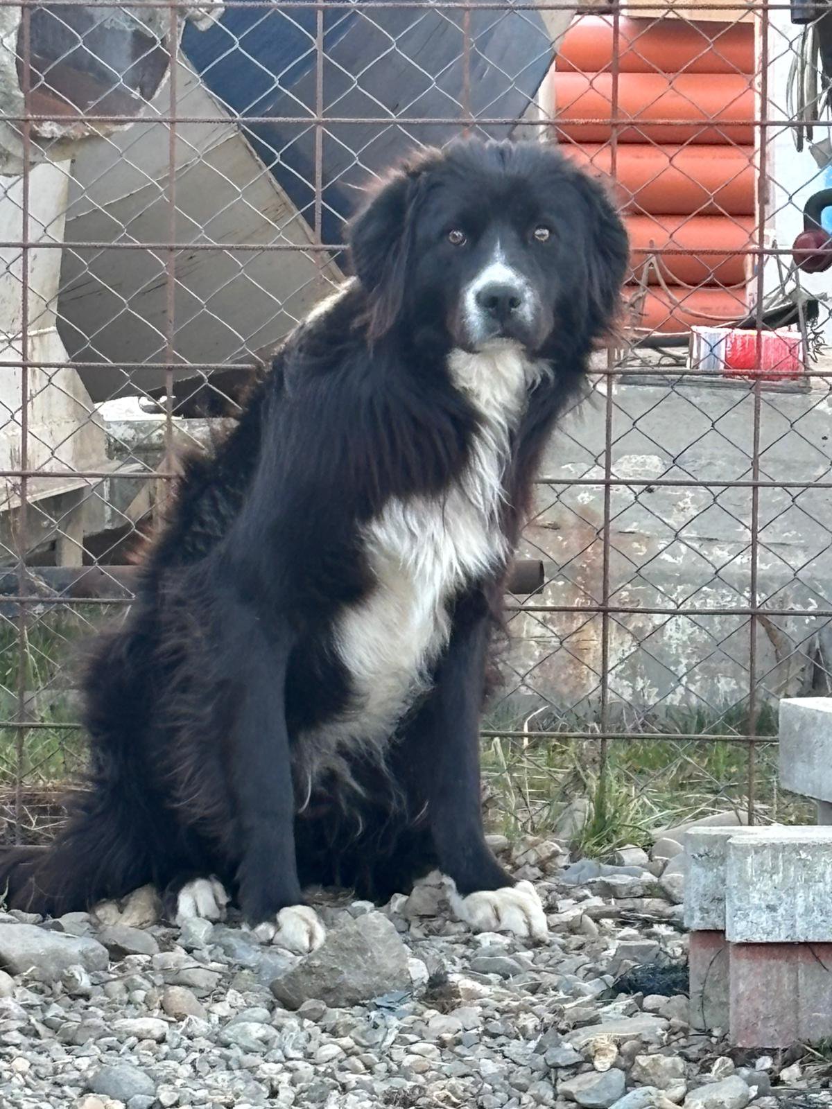 Max Foto 3