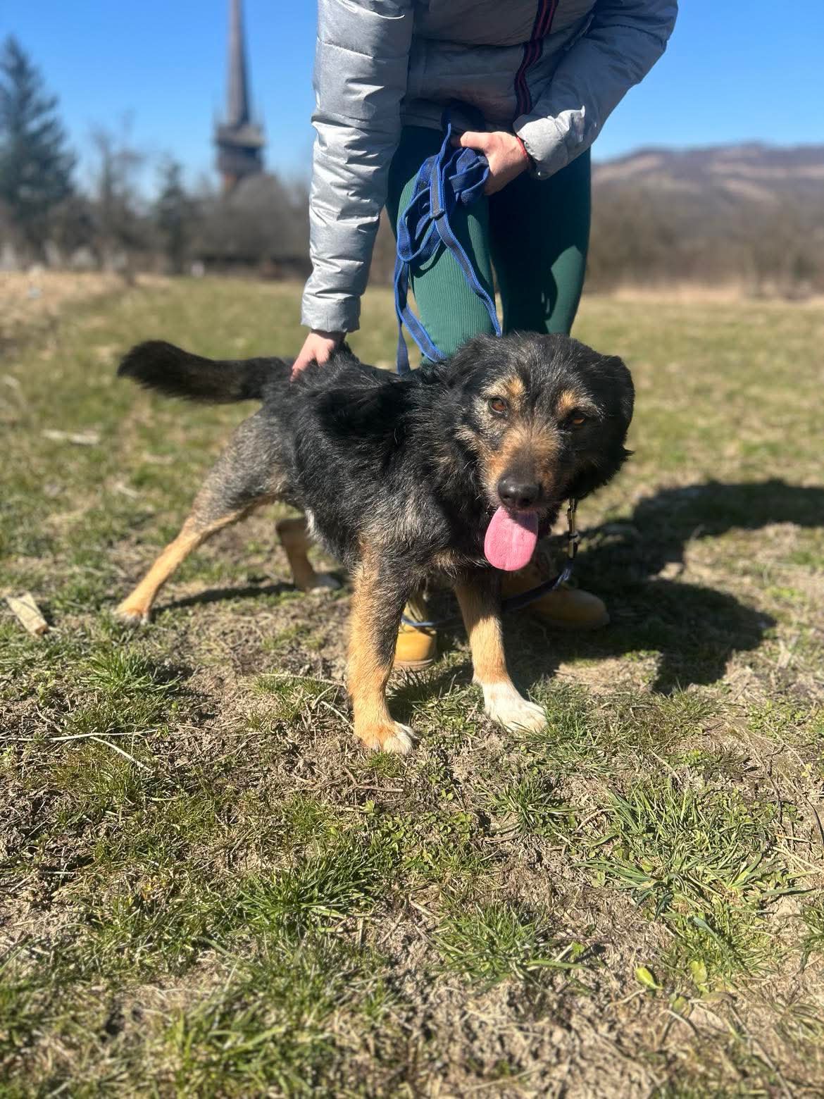Foxi Foto 14