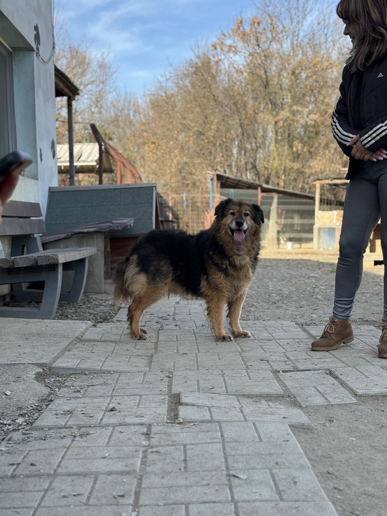 Bart Foto 3