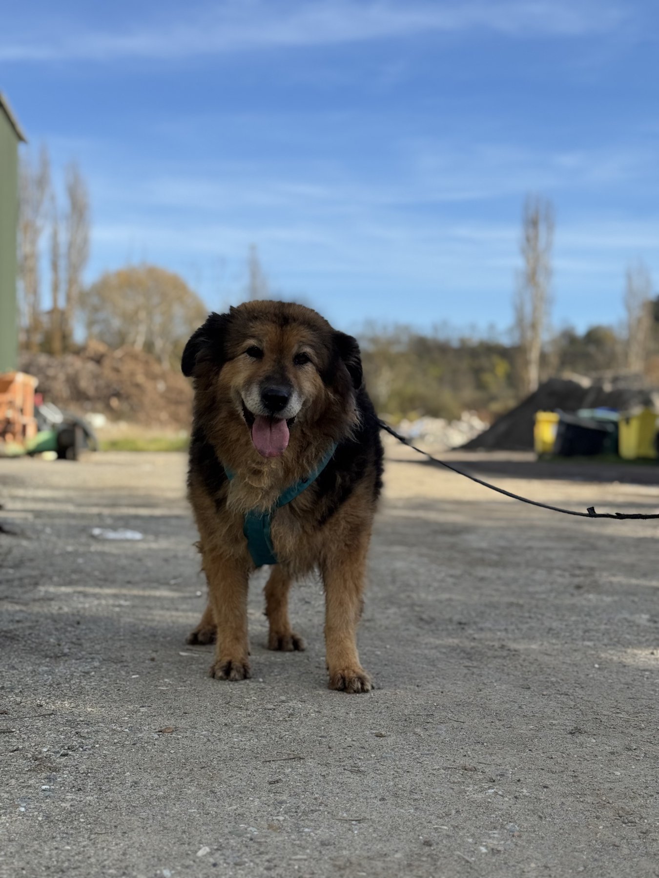 Bart Foto 5