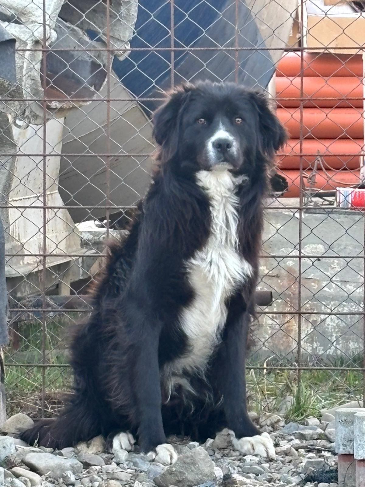 Max Foto 2