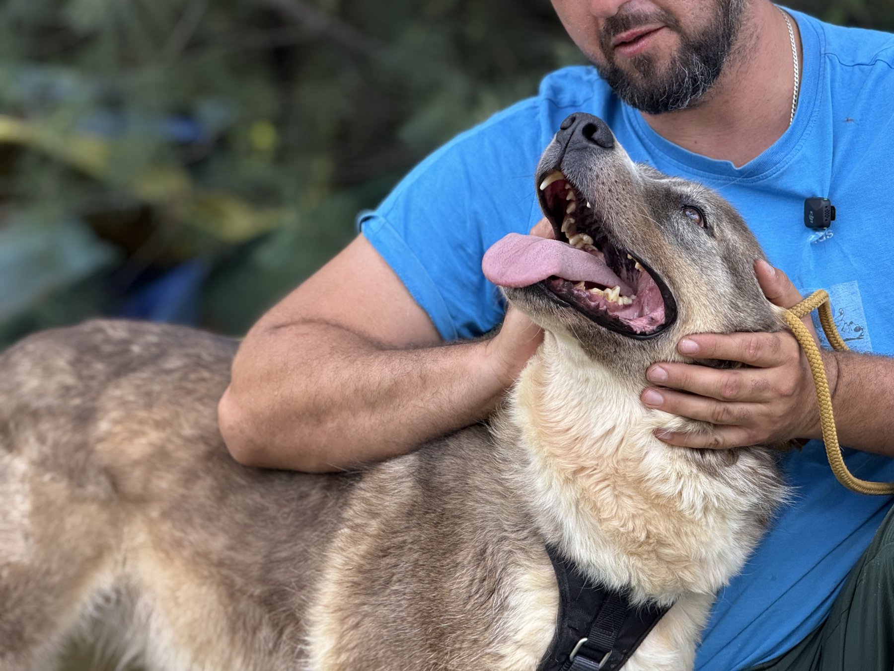 Tyson Foto 5